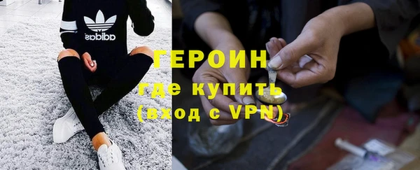 шишки Белокуриха