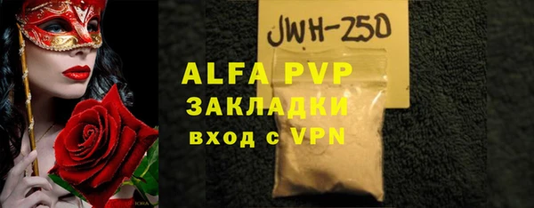 шишки Белокуриха