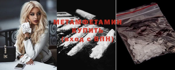 шишки Белокуриха