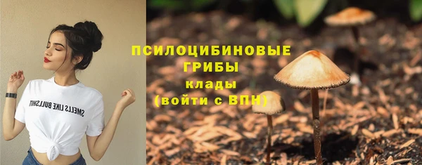 шишки Белокуриха