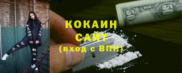 шишки Белокуриха