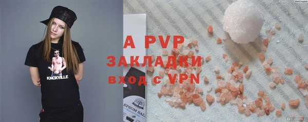 шишки Белокуриха