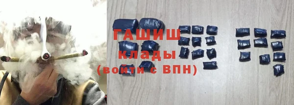 шишки Белокуриха