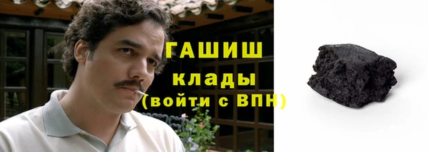 шишки Белокуриха