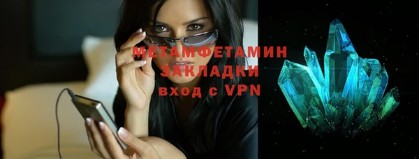 шишки Белокуриха