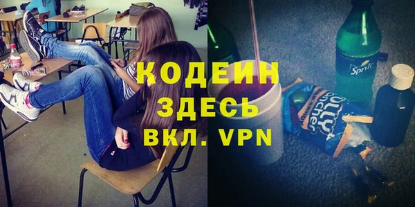 индика Балахна