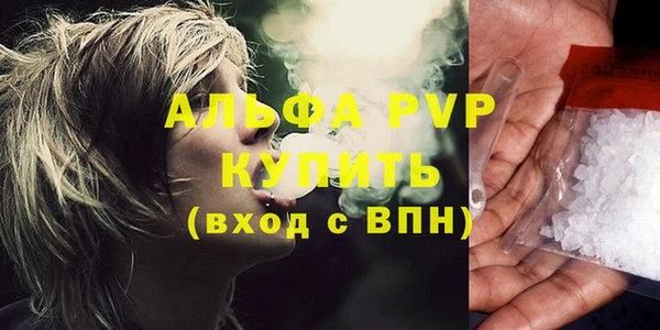 стаф Краснослободск
