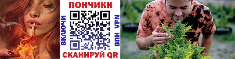 Каннабис ГИДРОПОН  omg зеркало  Магас 